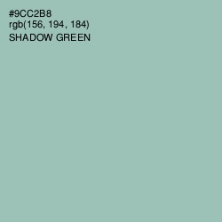 #9CC2B8 - Shadow Green Color Image