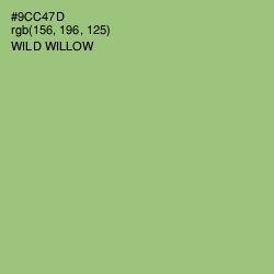 #9CC47D - Wild Willow Color Image