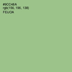 #9CC48A - Feijoa Color Image