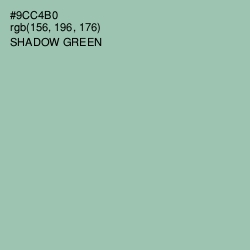 #9CC4B0 - Shadow Green Color Image