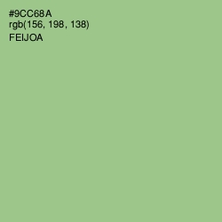 #9CC68A - Feijoa Color Image