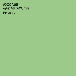 #9CCA8B - Feijoa Color Image