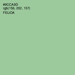 #9CCA9D - Feijoa Color Image