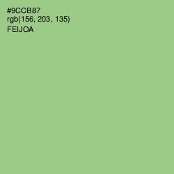 #9CCB87 - Feijoa Color Image