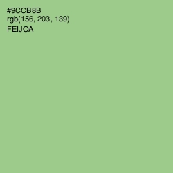 #9CCB8B - Feijoa Color Image