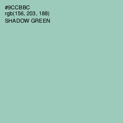 #9CCBBC - Shadow Green Color Image