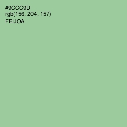 #9CCC9D - Feijoa Color Image
