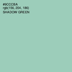 #9CCCBA - Shadow Green Color Image