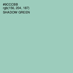 #9CCCBB - Shadow Green Color Image