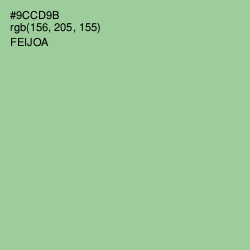 #9CCD9B - Feijoa Color Image