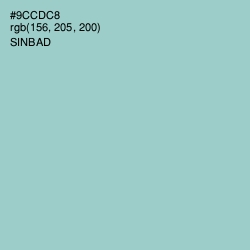 #9CCDC8 - Sinbad Color Image