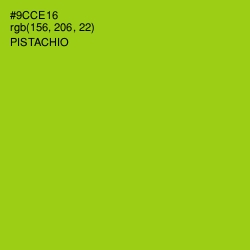 #9CCE16 - Pistachio Color Image