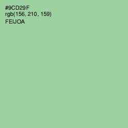 #9CD29F - Feijoa Color Image