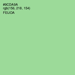 #9CDA9A - Feijoa Color Image