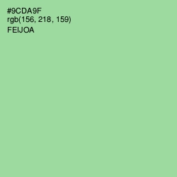 #9CDA9F - Feijoa Color Image