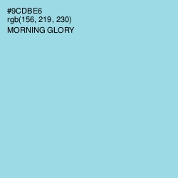 #9CDBE6 - Morning Glory Color Image