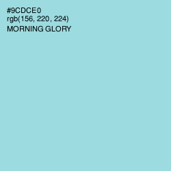 #9CDCE0 - Morning Glory Color Image