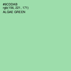 #9CDDAB - Algae Green Color Image