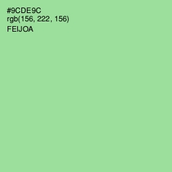 #9CDE9C - Feijoa Color Image