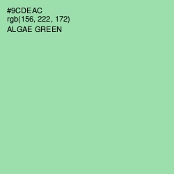 #9CDEAC - Algae Green Color Image