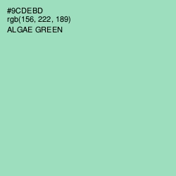 #9CDEBD - Algae Green Color Image