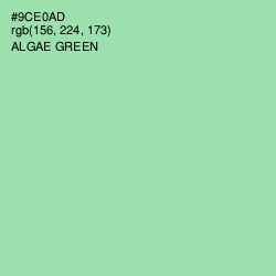 #9CE0AD - Algae Green Color Image