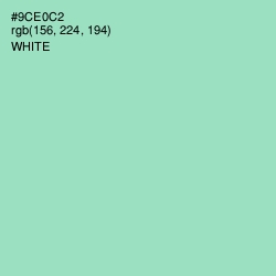 #9CE0C2 - Riptide Color Image