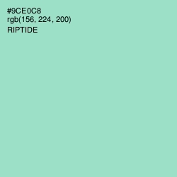 #9CE0C8 - Riptide Color Image