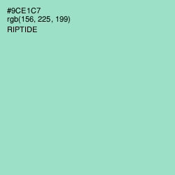 #9CE1C7 - Riptide Color Image