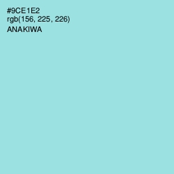 #9CE1E2 - Anakiwa Color Image