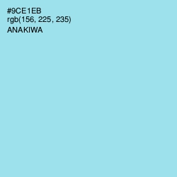 #9CE1EB - Anakiwa Color Image