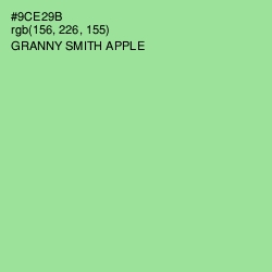 #9CE29B - Granny Smith Apple Color Image