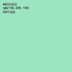 #9CE4C2 - Riptide Color Image