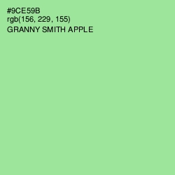 #9CE59B - Granny Smith Apple Color Image