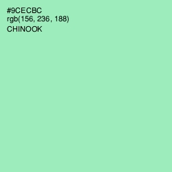 #9CECBC - Chinook Color Image