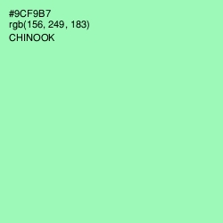 #9CF9B7 - Chinook Color Image