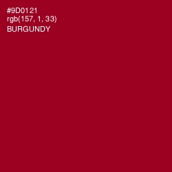 #9D0121 - Burgundy Color Image