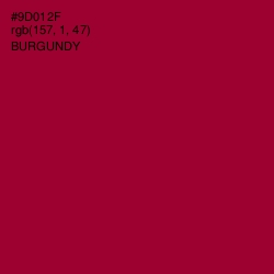 #9D012F - Burgundy Color Image