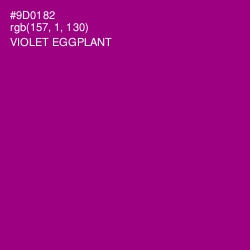 #9D0182 - Violet Eggplant Color Image