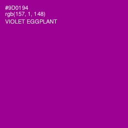 #9D0194 - Violet Eggplant Color Image