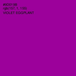 #9D019B - Violet Eggplant Color Image