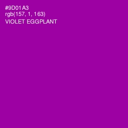 #9D01A3 - Violet Eggplant Color Image