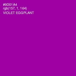 #9D01A4 - Violet Eggplant Color Image