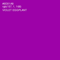 #9D01A8 - Violet Eggplant Color Image