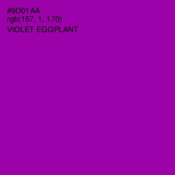 #9D01AA - Violet Eggplant Color Image