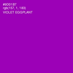 #9D01B7 - Violet Eggplant Color Image