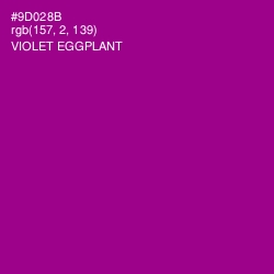#9D028B - Violet Eggplant Color Image