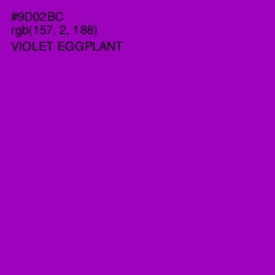 #9D02BC - Violet Eggplant Color Image