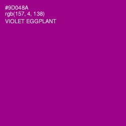 #9D048A - Violet Eggplant Color Image