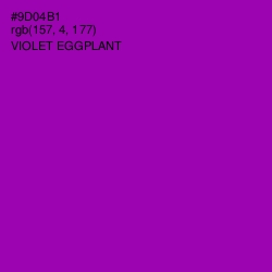 #9D04B1 - Violet Eggplant Color Image